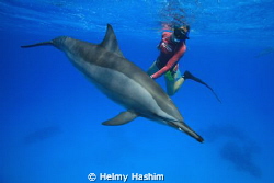 patty ! by Helmy Hashim 